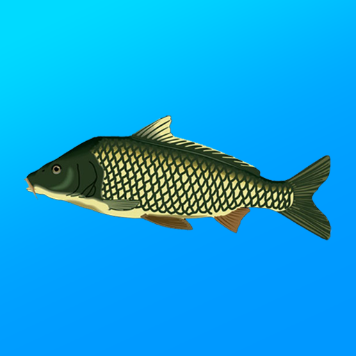 True Fishing v1.19.2.917 MOD APK (Unlimited Money)