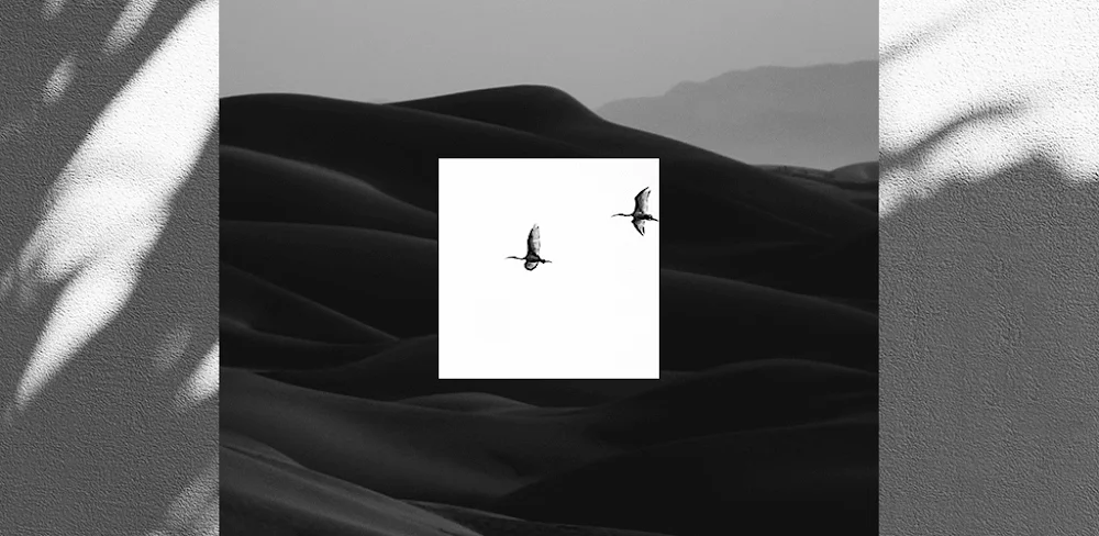 EPIK – Photo Editor v7.0.160 MOD APK (Premium Unlocked)